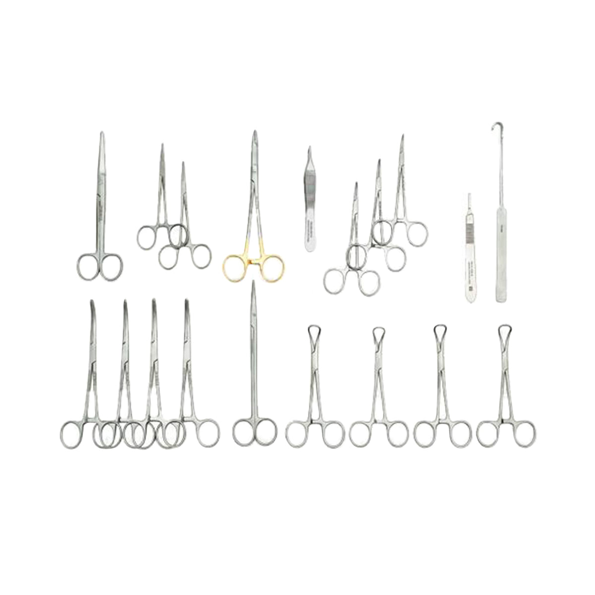 Veterinary General Surgery Instrument Set — 19 Pieces — Economy Stainless Steel; representative set image