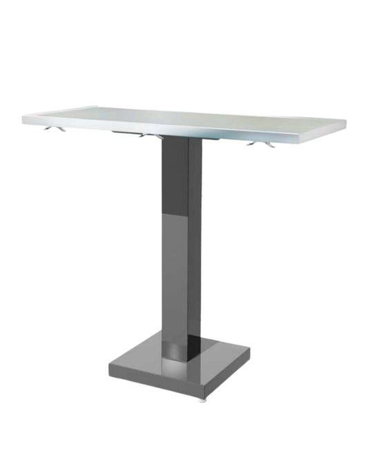 Classic Slim Exam Stainless Veterinary Table