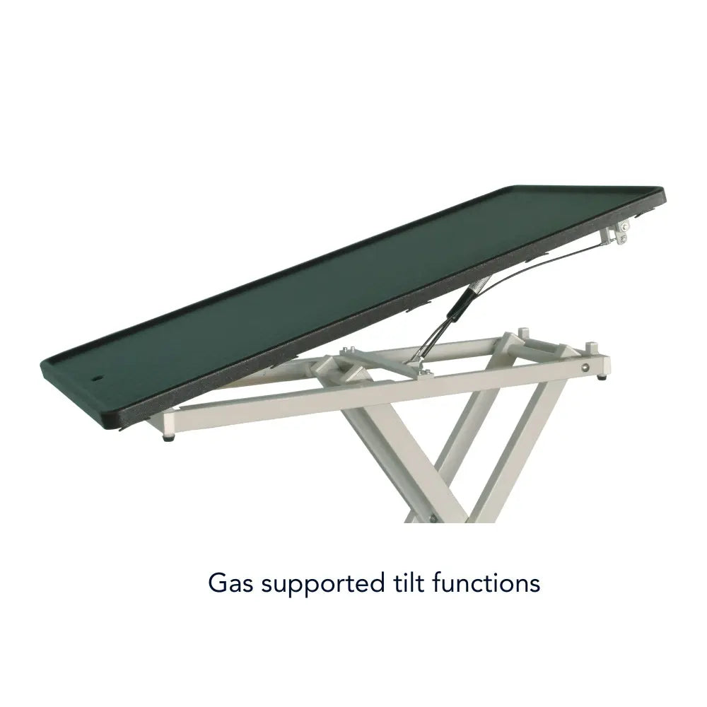 Transit Veterinary Treatment & Exam Table Platform