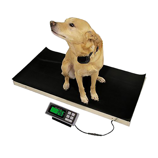 700 Veterinary Platform Scale